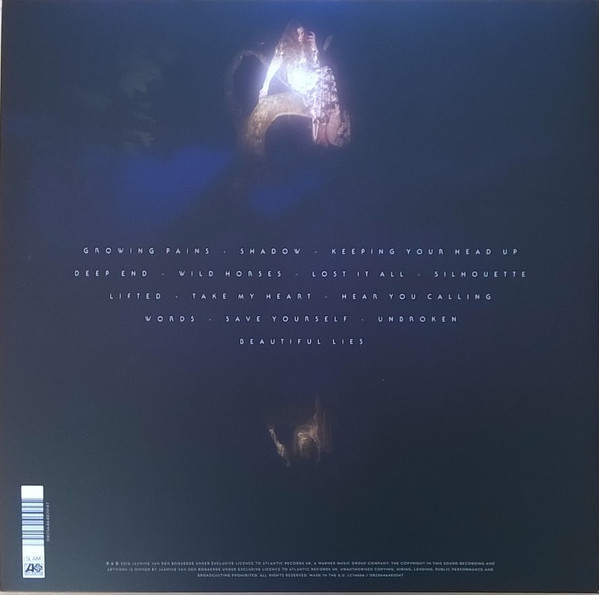 Birdy — Beautiful Lies, sleeve image 3
