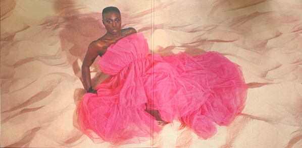 Laura Mvula — Pink Noise, sleeve image 3